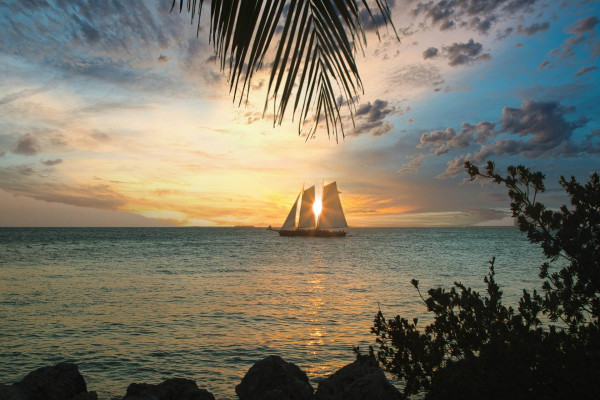 Exploring the Florida Keys: A Tropical Getaway in the USA